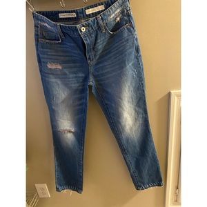 Anthropologie Pilcro & the Letterpress Slim Boyfriend Jeans